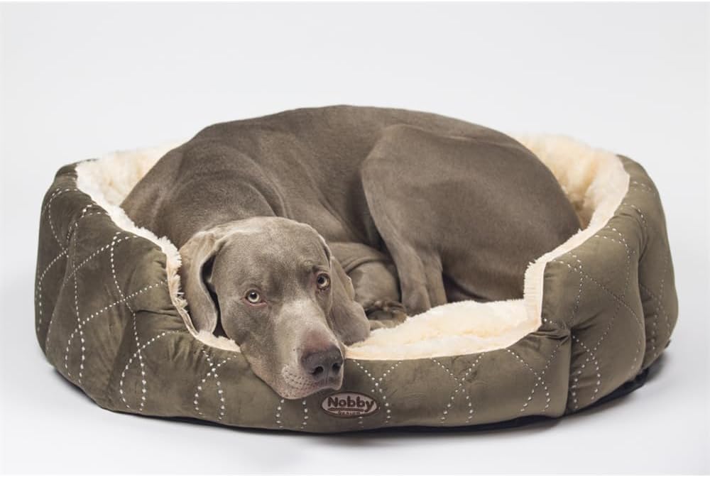 Nobby Comfort Bed Ceno, 66 x 57 x 22 cm