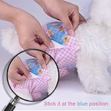 Flying Paws Einwegwindeln für Hunde, geeignet für Hunde und Katzen, verstellbare Einwegwindeln von 10–40 Stück (XS-10 Stück)