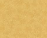 Papel pintado de alta calidad – Tamaño: ca 10 x 0,7 m