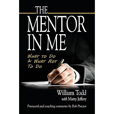 The Mentor In Me