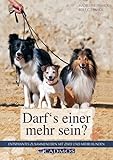 Darf's einer mehr sein?: Entspanntes Zusammenleben mit zwei oder mehr Hunden