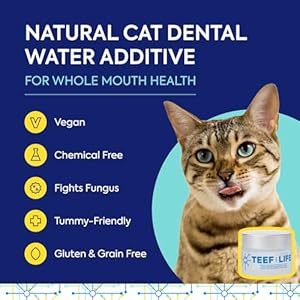   for-Life-Protektin30-Plant-Derived-Dental-Water-Additive-for-Cats-Daily-Dental-Care-Clinically-Proven-Formula-Naturally-Fights-Plaque-and-Tartar-Dental-Kit-with-90-Servings