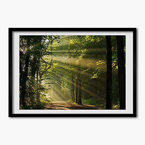 Cadre de peinture Foret Au Soleil Tulup pour illuminer votre salon moderne