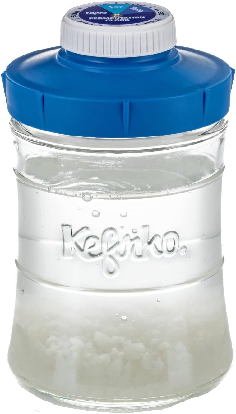 2nd Fermentation Bottle with Blue Lid for Storing and Drinking Milk & Water Kefir (900 ml)