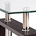 Tangkula Rectangle Glass Coffee Table, 2-Tier Tea Table w/Tempered Glass Tabletop & Stainless Steel Tube, Modern Center Side Table w/Wooden Legs & Lower Shelf, Glass End Table for Living Room
