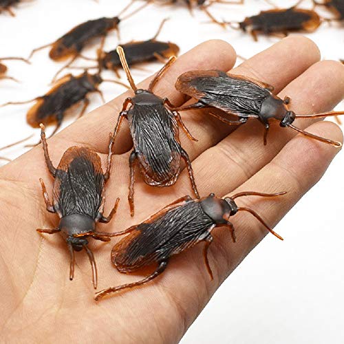 Matissa Pack of 20 Pieces Frisky Creepy Plastic Cockroaches fake bugs for Fun Halloween Pranks and Tricks Night Party roaches adults