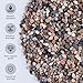 Ausluru 5lb Mixed Color Silica Gravel Pebbles, 1/5 inch Decorative Stones for Succulents, Pebbles for Vases,Plants Rocks, Aquarium Sand, Top Dressing, Outdoor Decorative Rocks