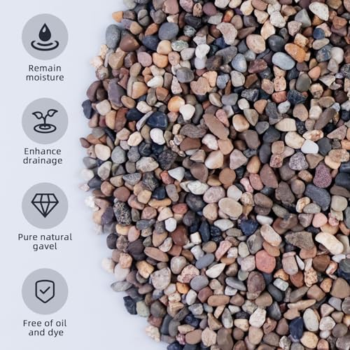 Image of 5lb Mixed Color Silica Gravel Pebbles, 1 /5 inch Decorative Stones for Succulents, Pebbles for Vases,Plants Rocks, Aquarium Sand, Top Dressing, Outdoor Decorative Rocks