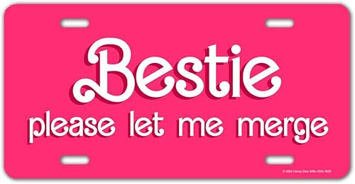 Miniatura 8 de Honey Dew Gifts, Silly Goose on The Loose, placa de matrícula divertida, placa de matrícula decorativa, placas personalizadas, placa frontal, placas