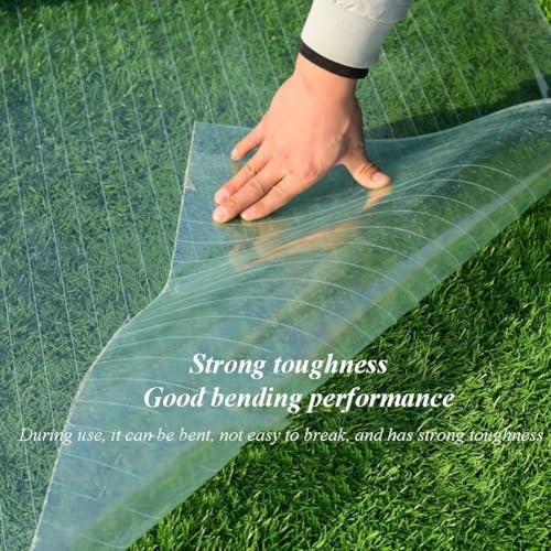Paneles solares transparentes para techos de invernadero Polycarte resistentes a rayos UV 7