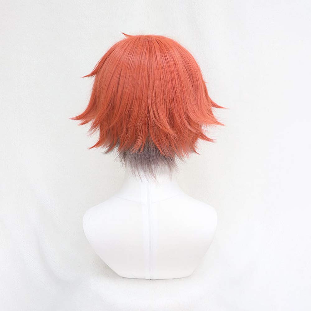 Amazon.co.jp: 耐熱コスプレウィッグ 二番目の城 Ace エース