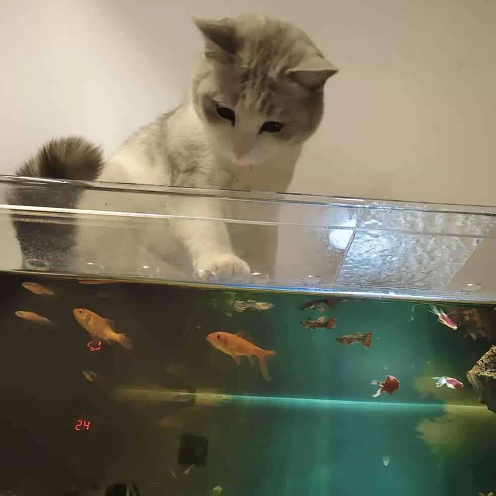 Rygcrud sur Mesure Carré Aquarium Couvercle Contre-Saut avec Trou D'aération, Transparent Couvercle D'aquarium en Acrylique, pour Empêcher Le Chat D'attraper Les Poissons(40x24x3cm)