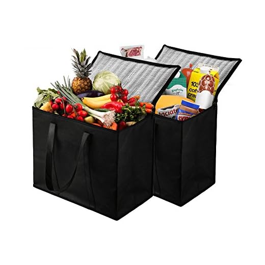 NZ Home XL Insulated Shopping Bags for Groceries or Food Delivery, Sturdy Zipper, Foldable, Washable, Heavy Duty, Stands Upright, Completely Reinforced Bottom (2 Pack, Black)