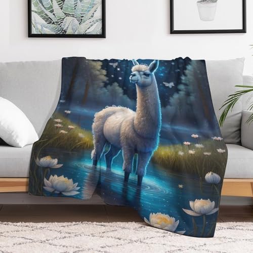 Couverture douce contre le froid flanelle chaude de canapé 150x200