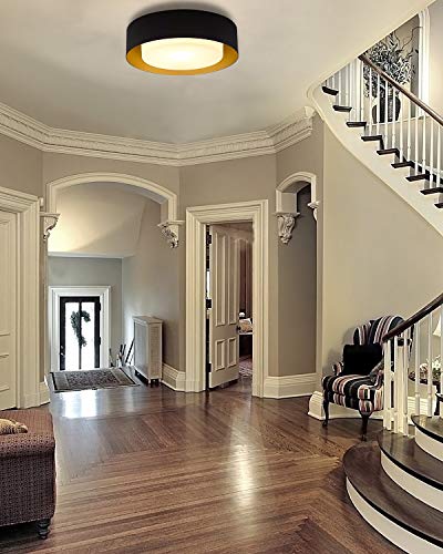 Autelo Flush Mount Ceiling Light, 14" Frosted Glass Shade Close to Ceiling Light Fixture in Black Finish E26 Socket for Living Room Hallway Bedroom C3336XS BK