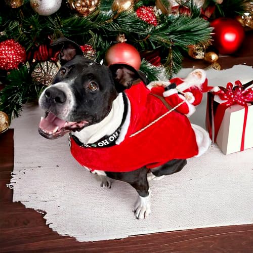 Mfsdai Hund Weihnachtskostüm, Santa Reiten Kleidung Hundekostüm, Hundepullover Mantel Weihnachten Rot für Kleine Mittel Große Hunde Katzen XL