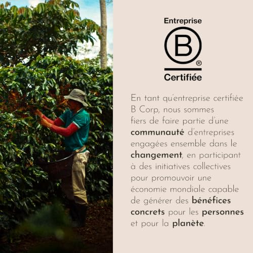 illy, Café en Grains CLASSICO, 6 Boîtes de 250g – vue 5