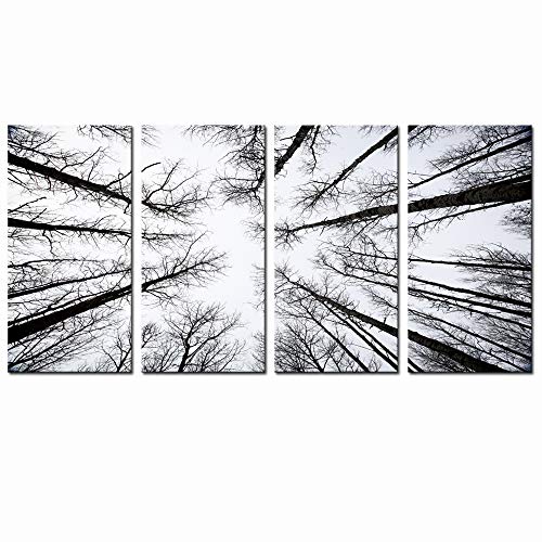 Levvarts - Black And White Forest Canvas Wall Art Low Angle View Aspen Trees Picture Print On Canvas,San Juan National Forest,4 Panels Framed Artwork For Modern Home Wall Decoration,Large Size #TOP4