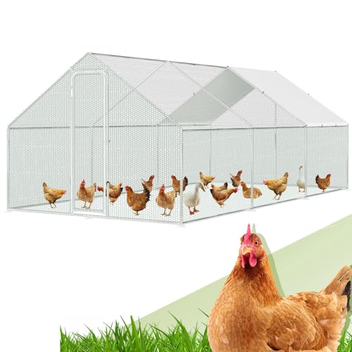 Randaco Gallinero XXL 3 x 6 x 2 m   De acero galvanizado   Recinto de exterior   Con cerradura y paño de color de polietileno impermeable   Para jaula de pollo, aves de corral, animales pequeños