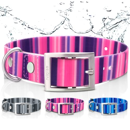 Find The Best Dog Collar For Water Reviews & Comparison Katynel