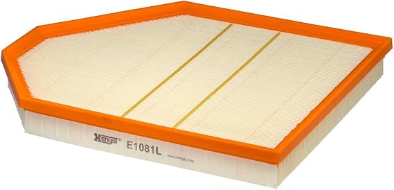 Hengst Air Filter
