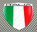 Italy (Italia) Flag 3d Decal Sticker Lg