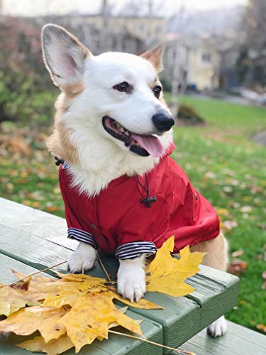 Ellie Dog Wear Red Zip Up Dog Raincoat With Reflective Buttons, Pockets, Water Resistant, Adjustable Drawstring, Removable Hoodie - Size Xs To Xxl Available - Stylish Premium Dog Raincoats (Xxl) #TOP3