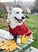 Ellie Dog Wear Zip Up Dog Raincoats with Reflective Buttons, Pockets, Rain/Water Resistant, Adjustable Drawstring, & Removable Hood - XXS to XXL - Stylish Premium Dog Raincoats (Red, Large)
