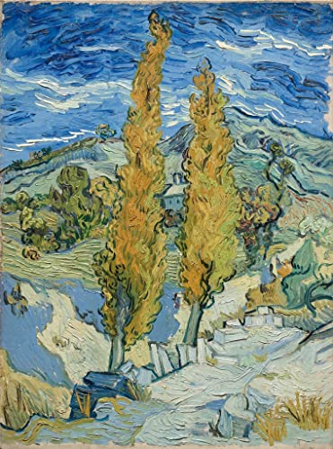 Impression prints toile peinture murale Vincent Van Gogh décoration salon tableau abstrait 60x90