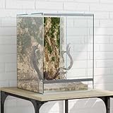 Matériau: Verre INLIFE Terrarium avec Stockage Transparent 30 x 30 x 40 cm Verre