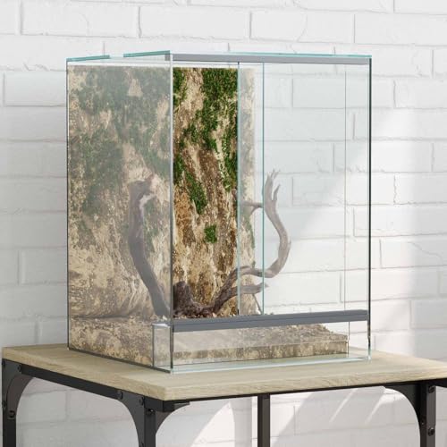 INLIFE Terrarium avec Stockage Transparent 30 x 30 x 40 cm Verre