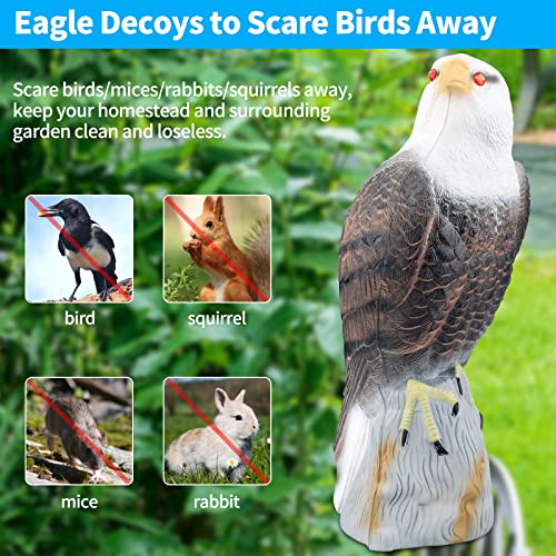 Owl Decoys To Scare Birds Squirrels Away,2023 Upgraded Fake Bald Eagle Decoy,Garden Owl Decoy To Scare Birds Away Deterrent,Eagle Bird Deterrent Devices Outdoor,Moving Owls For Garden Yard Protection #TOP2