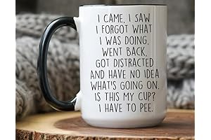 I Came I Saw I Forgot What I Was Doing Mug