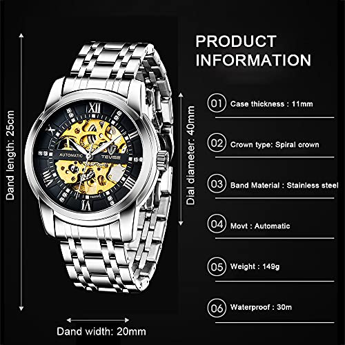 Dentily Men's Watch Mechanical Stainless Steel Skeleton Automatic Waterproof Business Watches for Men