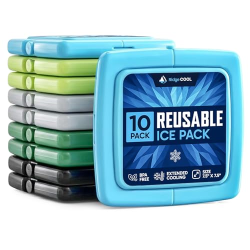 RIDGECOOL 10-Pack Slim Ice Packs