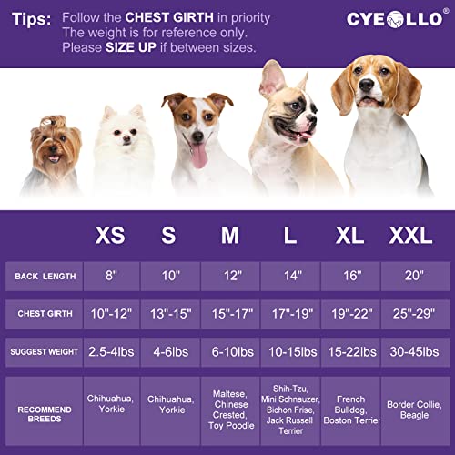 Cyeollo Halloween Dog Dress Doggie Holiday Theme Outfits Pumpkin Fab Boo Lous Small Dogs Girl Tulle Skirts Orange #TOP2