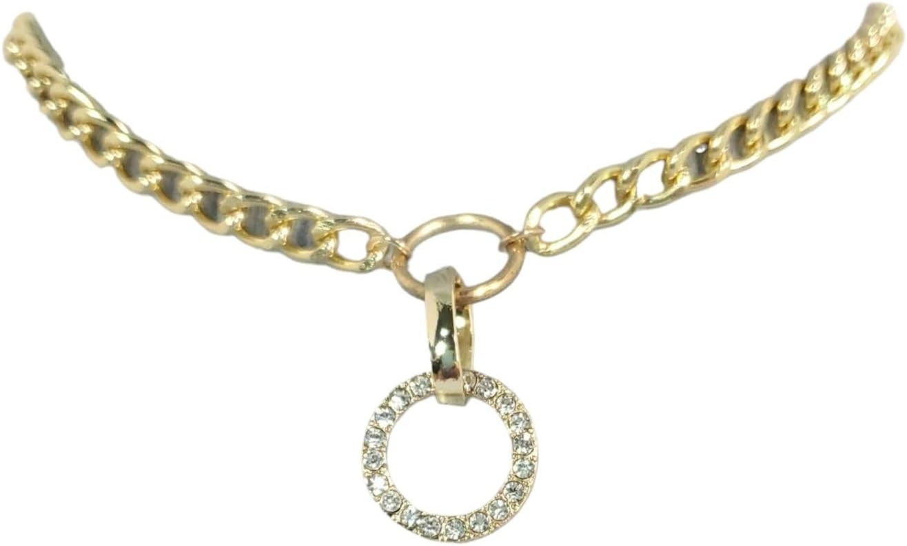 N0135 Gold Colored Chin Circle Shape Pendant Choker Collar Necklace Woman Dainty Necklace for Women – Elegant Minimalist Fashion Accessories Stylish Additions