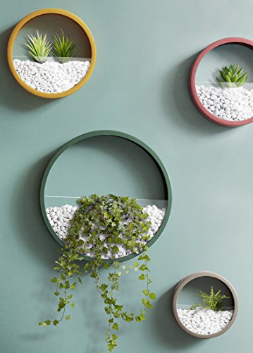 Vevlu 3 Pack Set Wall Planters,Modern Round Glass Wall Planter Succulent Planter Circle Iron Hanging Planter Vase For Herb,Small Cactus Perfect For Balcony, Room And Patio Decor (Yellow) #TOP4