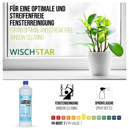 Fensterputzset von Wisch-Star für streifenfreie Reinigung