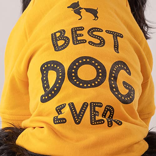 Image of Heads Up For Tails Polyester Huft Best Dog Ever Pet Sweatshirt - Yellow,1 Count