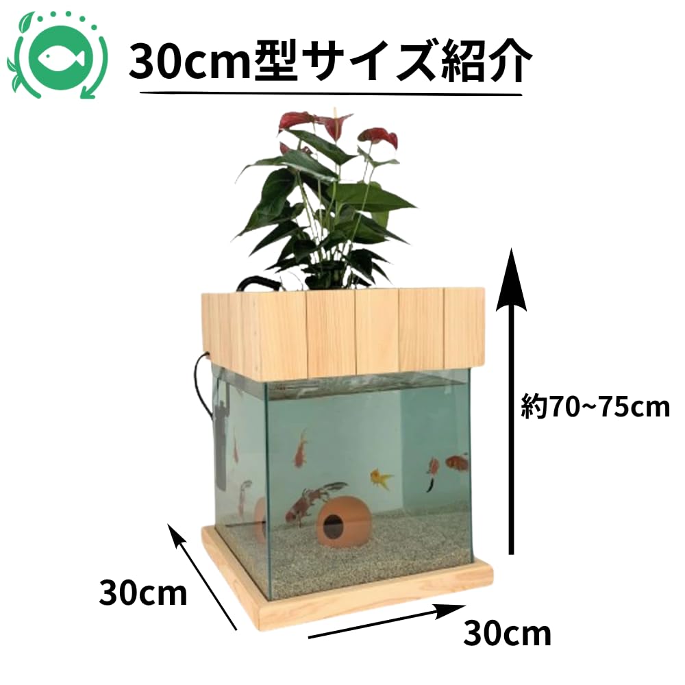 Amazon | せせらぎビオトープ 水替え不要【水槽セット】 30cm型 【木枠