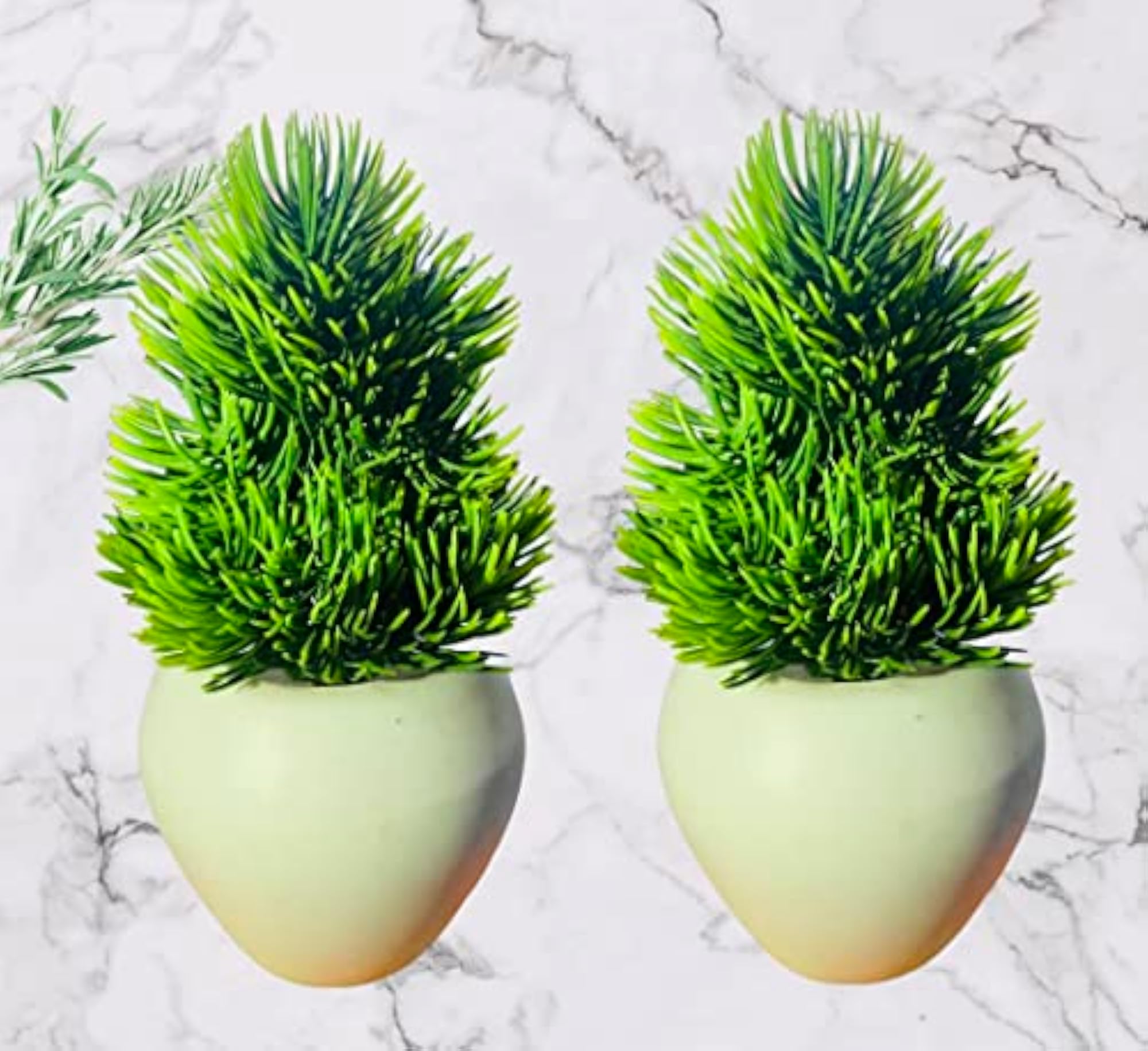 Mini Cue Planters Bonsai with Pot Pack of 2 for Office Desk