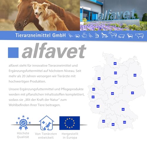 alfavet Dia Tab Röhre 12 x 5,5 g – Diät-Ergänzungsfuttermittel für Hunde & Katzen – Kautabletten bei Durchfall – Mit Bentonit & pflanzlichen Inhaltsstoffen zur Regulierung der Verdauung