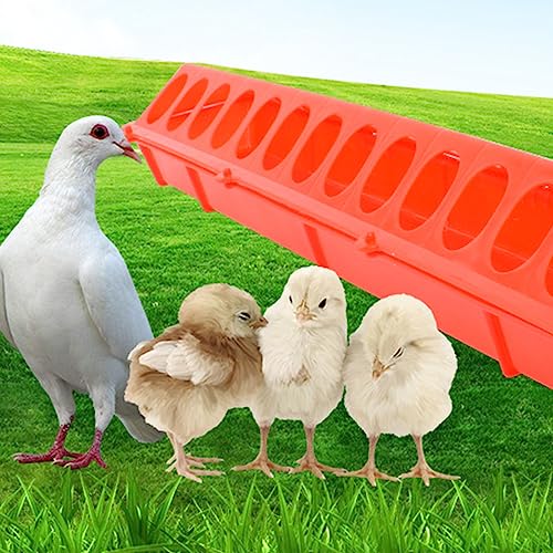 Mangeoire pour poulets robuste et durable en blocs emboîtables - 4