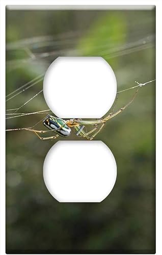 Switch Plate Outlet Cover - Insects Area Kettle Quindio Colombia 2