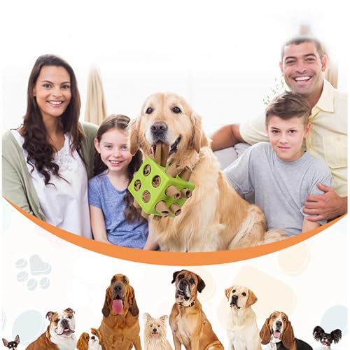 Balle à mâcher pour biscuits pour chien distributeur friandises