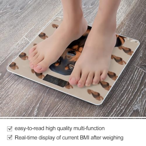 Báscula Digital para Baño con Diseño de Perro Dachshund miniatura 5