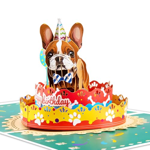 GREETING ART 3D Geburtstagskarte mit Hund, Happy Birthday Karte, Lustige Geldgeschenkkarte für Kinder, Männer, Frauen, Mütter, Väter und Hundeliebhaber GREETING ART 3D Geburtstagskarte mit Hund, Happy Birthday Karte, Lustige Geldgeschenkkarte für Kinder, Männer, Frauen, Mütter, Väter und Hundeliebhaber