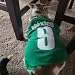 Personalisiert Haustiere Fußball Trikot mit Name/Nummer/Logo Benutzerdefinierte Sommer T-Shirts für Katzen Hund Klein mittelgroße bis große
