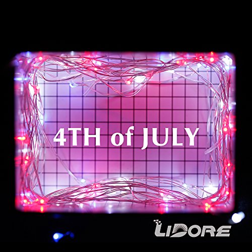 Lidore Led Fairy String Light Decorative Light For Patriotic Theme Birthday Wedding Baby Shower Party Indoor And Outdoor Different Twinkle Modes 100 Counts 110V Plug In #TOP6